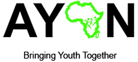 African Youth Action Network